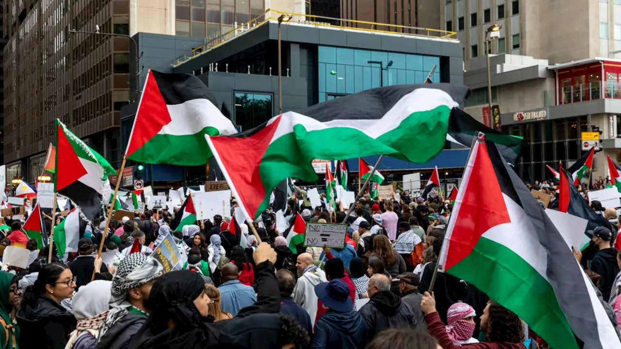 Pro-Palestinian rally planned in Chicago Friday amid Israel-Hamas tensions