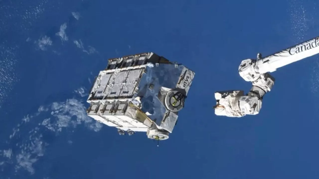 Space Junk Just Fell on Your Home, Now What?