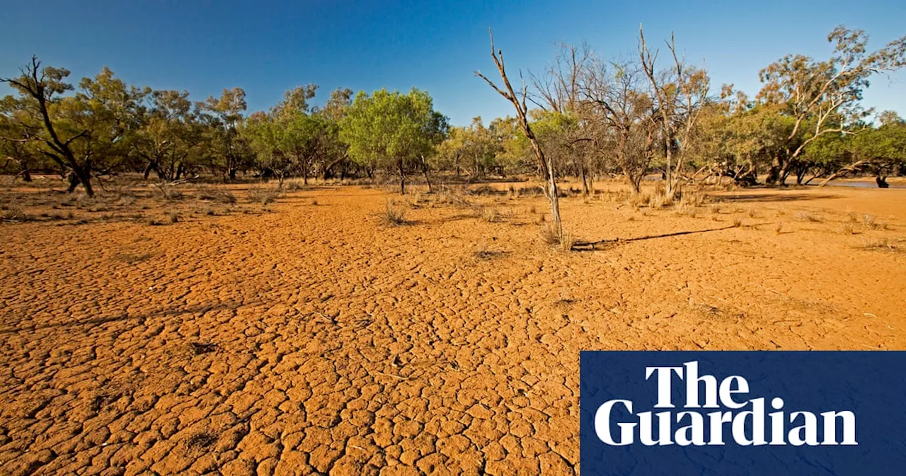 Australia should prepare for 20-year megadroughts as the climate crisis worsens, study finds