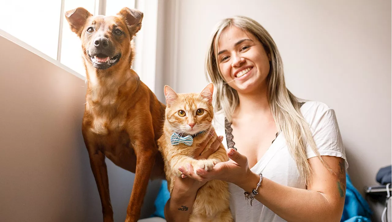 Vivere con un cane o un gatto: una scelta consapevole