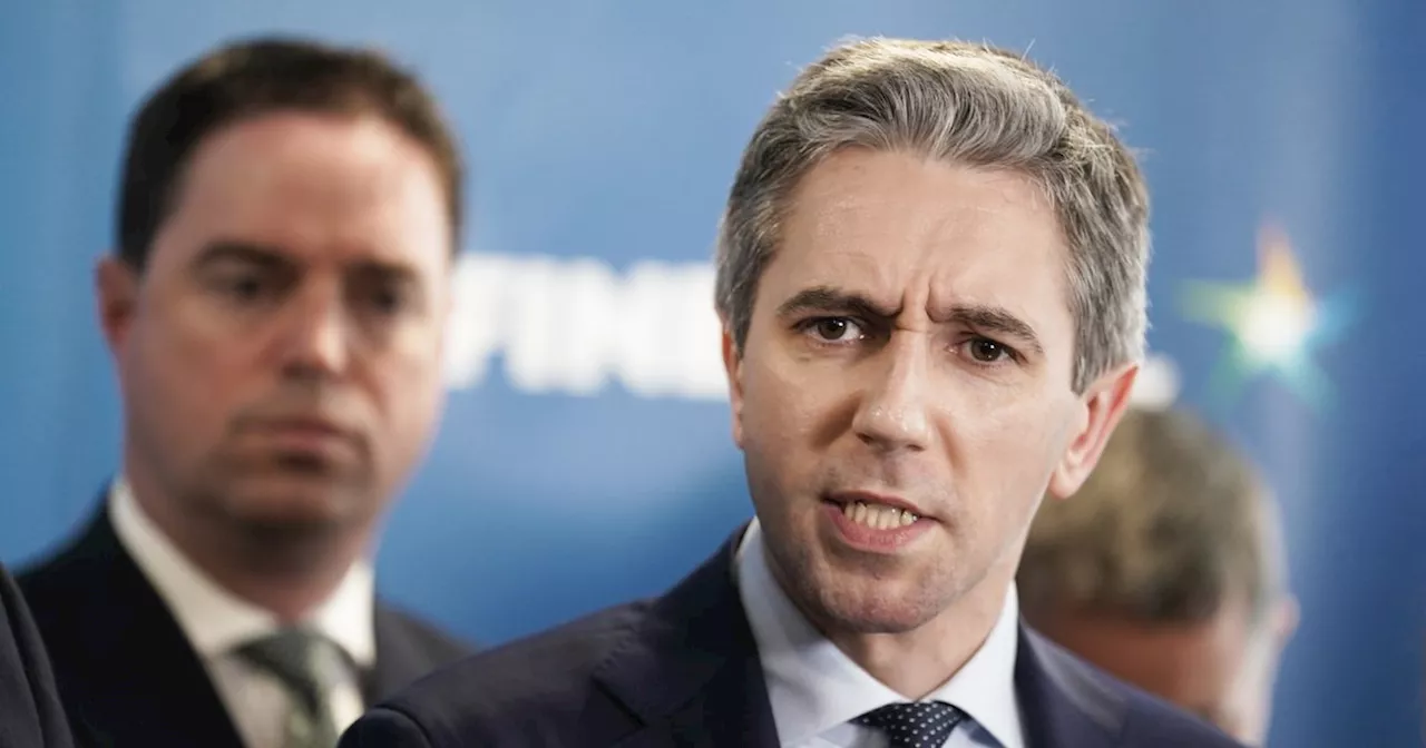 Simon Harris says he 'doesn't fear Sinn Fein' as he slates its housing approach