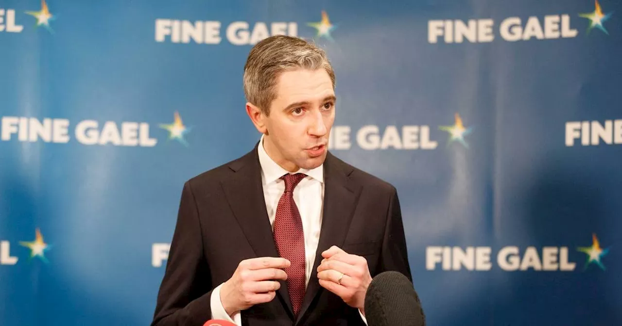 From TikTok taoiseach to storm clouds on the horizon: Seven hot topics at Fine Gael ardfheis