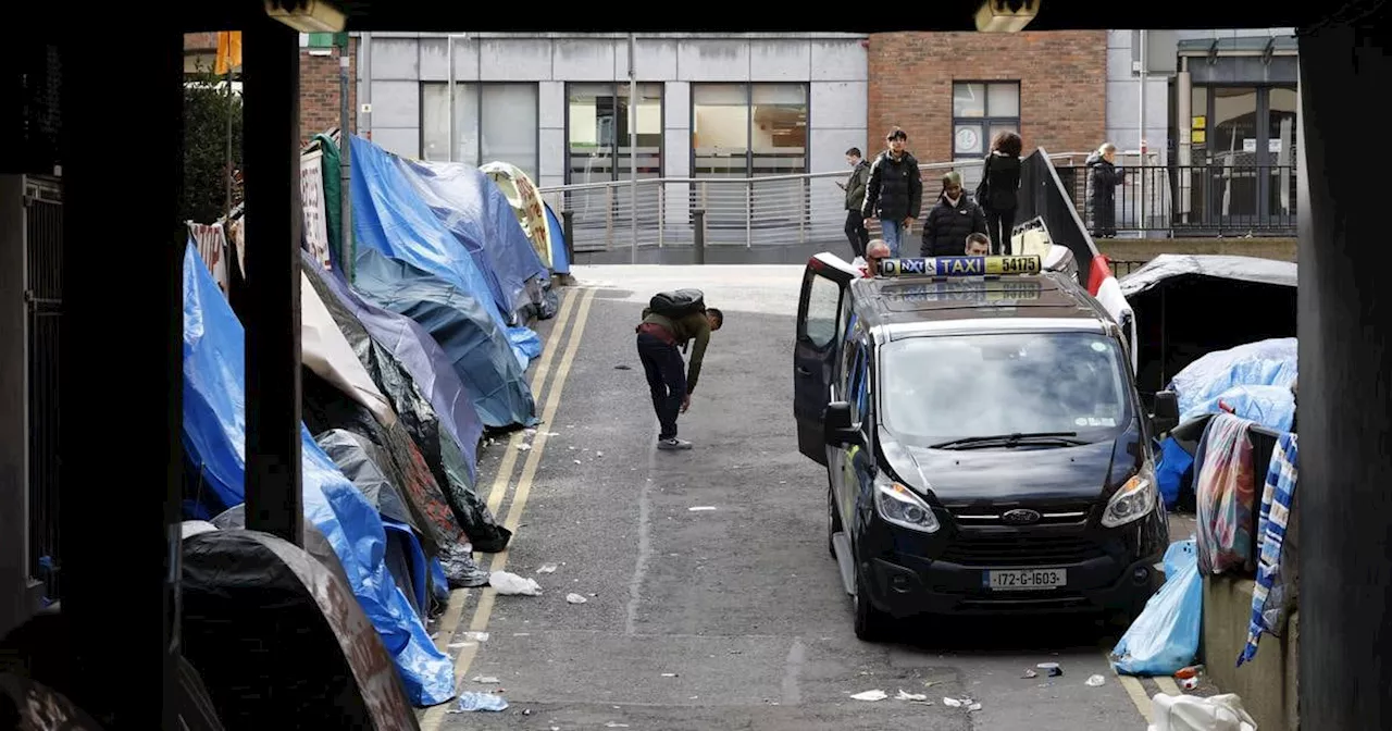 Number of homeless asylum seekers in State rises to 1,620