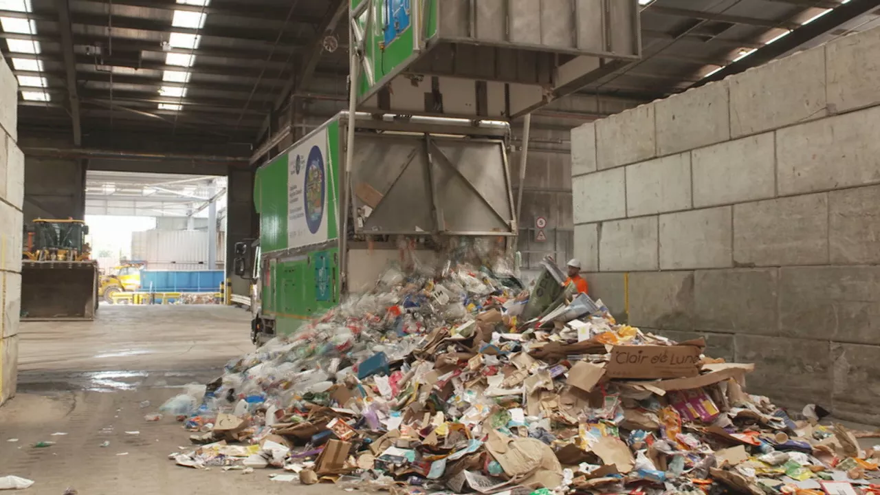 Everything you need to know about the new recycling laws coming into force in Wales tomorrow