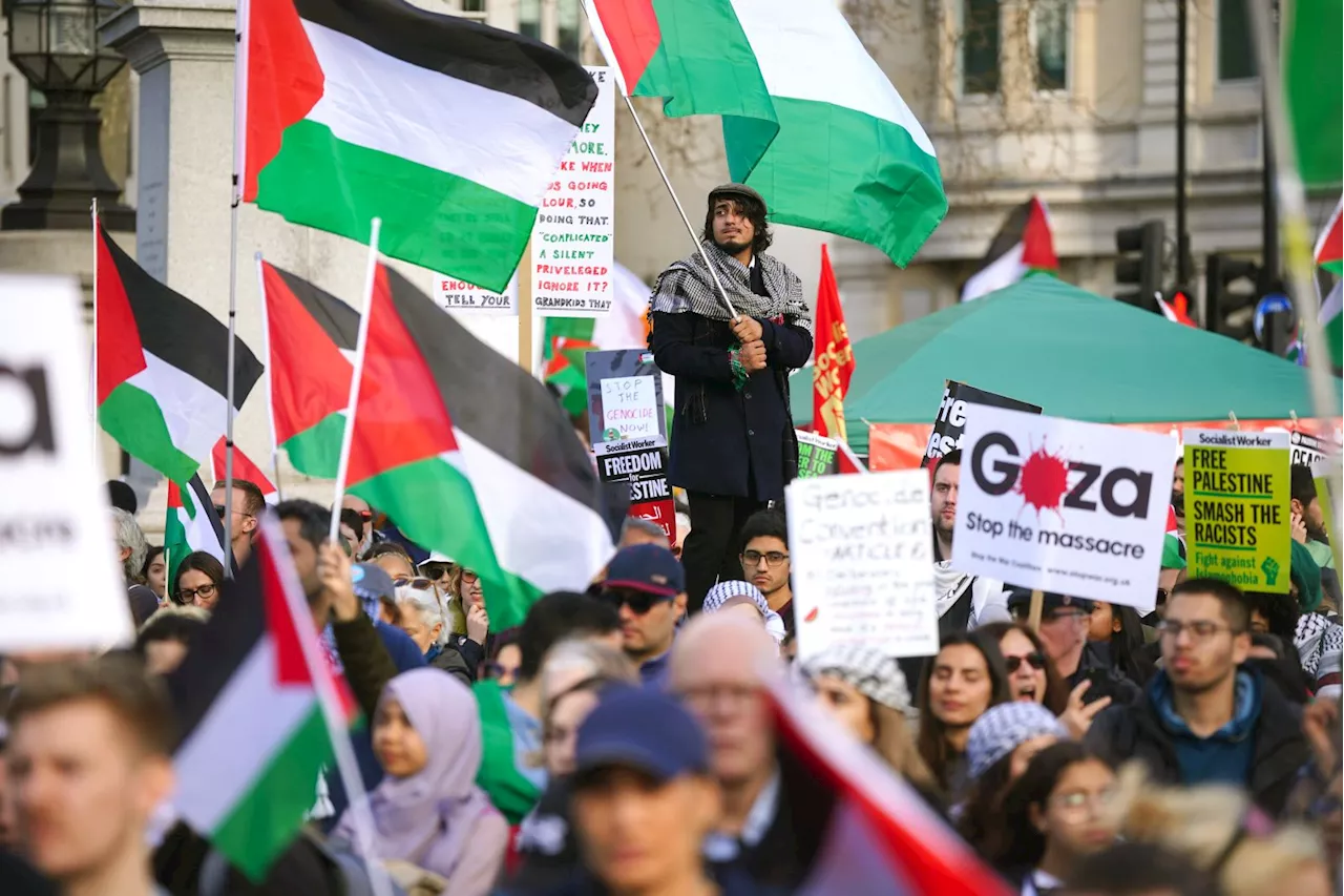 Met Police urge calm during central London pro-Palestine march and counter protest