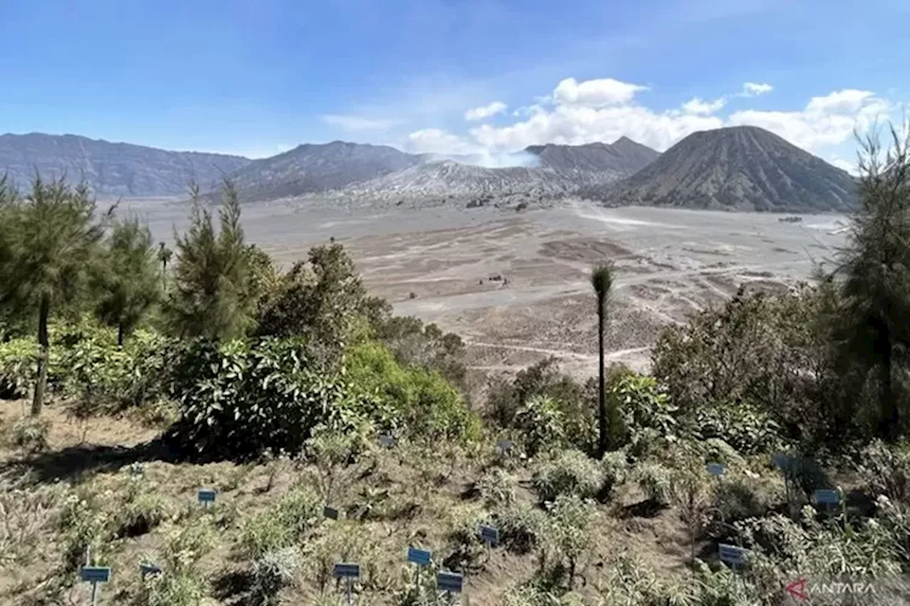 Balai Besar TN Bromo Tengger Semeru Belum Tambah Kuota Wisatawan saat Libur Lebaran 2024