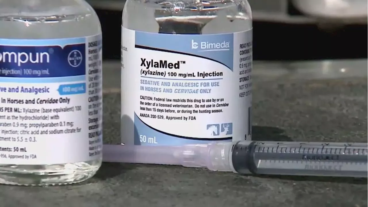 Whatcom County reports first 'tranq' overdose