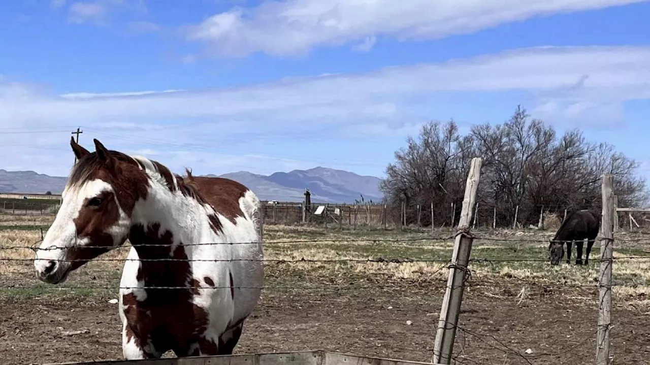 Why Salt Lake City is trying to annex 'final frontier' by its northern boundary