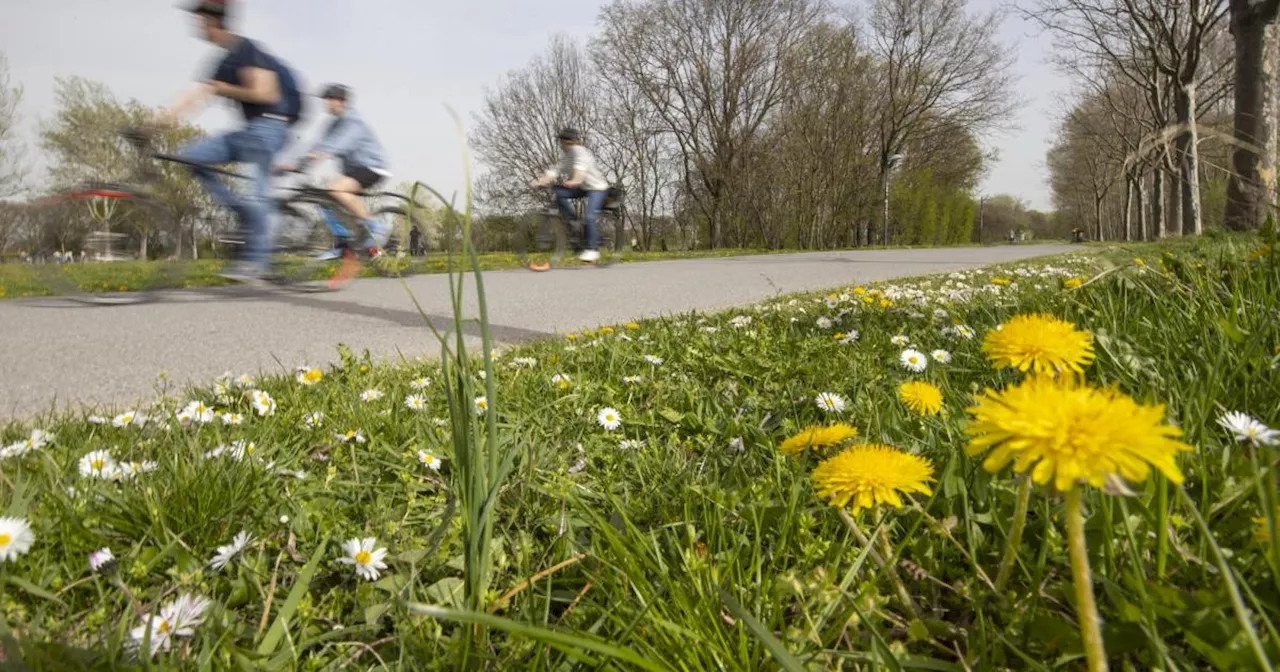 Bis zu 30 Grad: Ein ungewöhnlich warmes Wochenende und eine Warnung