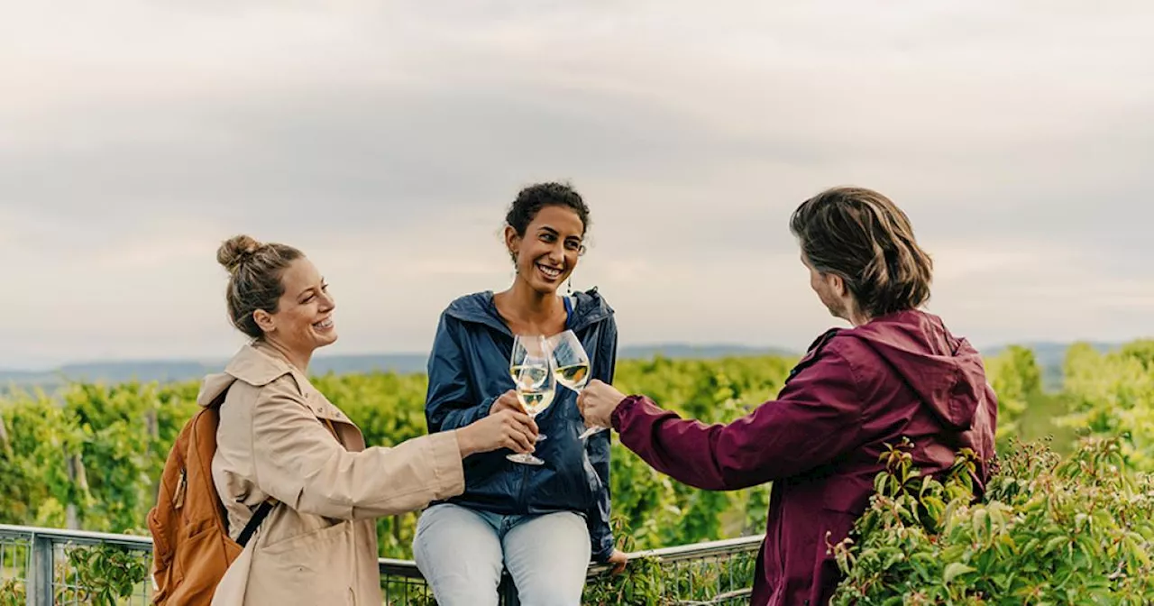 Der Appetit als Kompass: Niederösterreichs Kulinarik entdecken