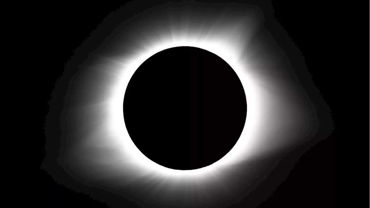 LIST: From food to marriage...How Americans are celebrating solar eclipse