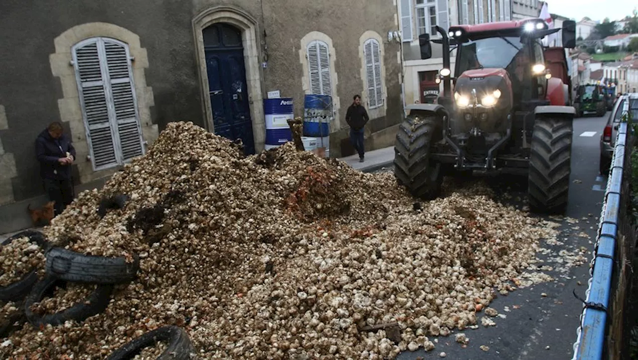 Adoption d'une proposition de loi pour garantir un revenu digne aux agriculteurs en France