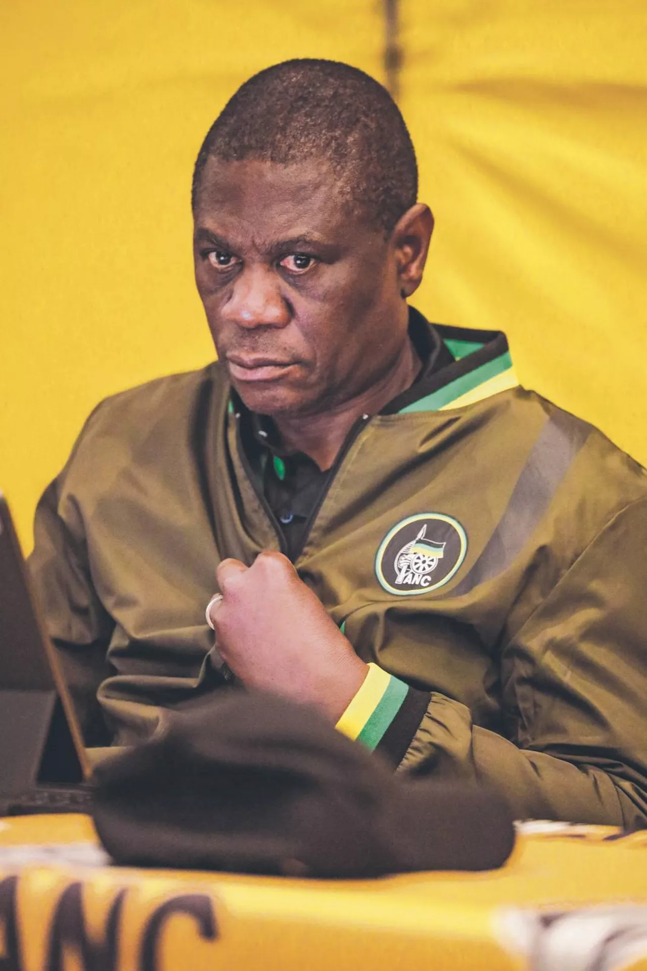 Damage control: Mashatile to visit Zulu king in wake of Duma's microphone gaffe