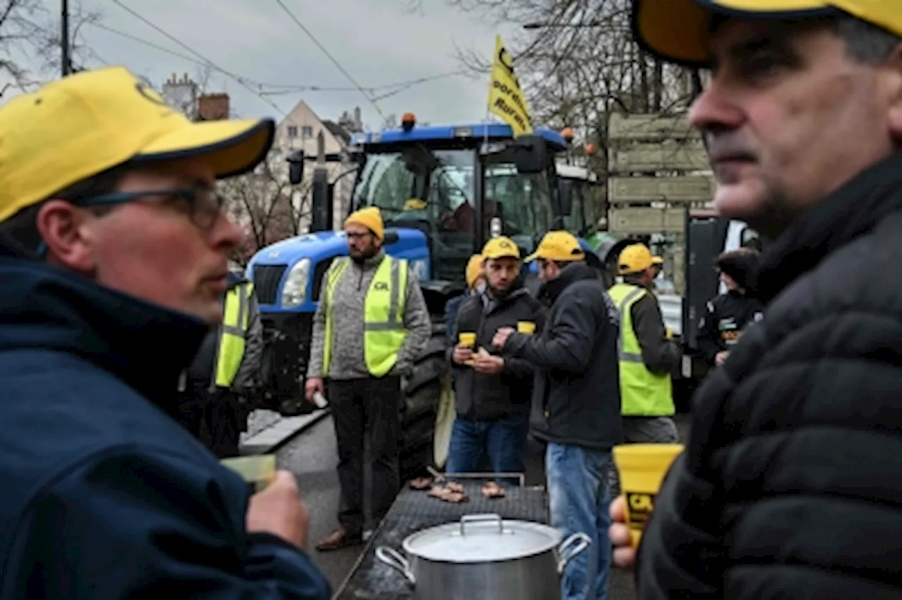 French farmers allowed to use more pesticides on sugar beet fields