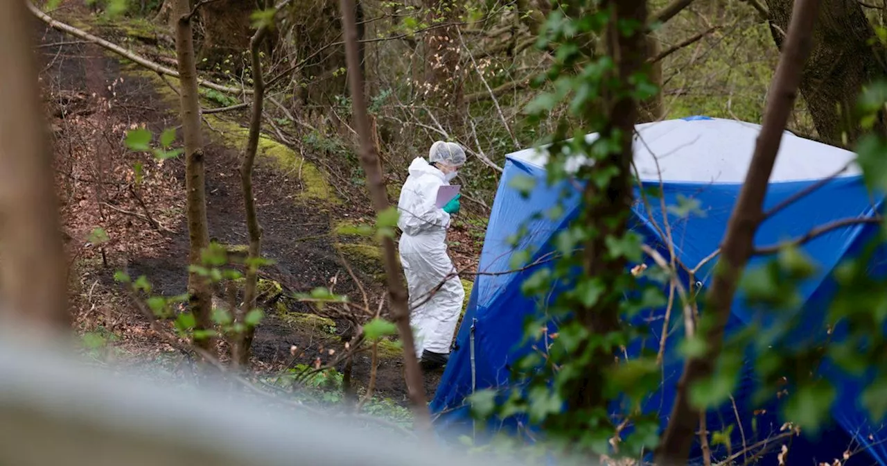 Discovery of 'unidentified' human remains in nature reserve sparks murder probe