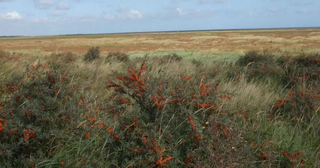 Tranquil Beach in Lincolnshire Voted County's Crowning Glory