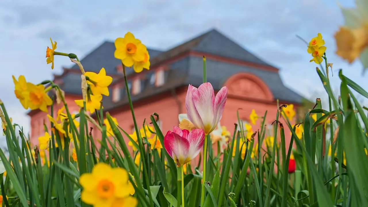 Rheinland-Pfalz & Saarland: Warmes Wochenende im Saarland und in Rheinland-Pfalz