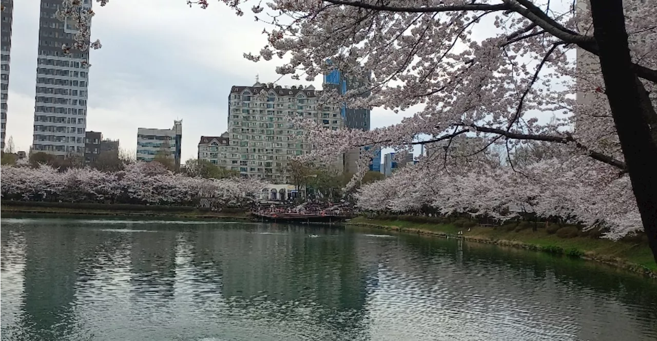 '남편 돈은 못 쓰겠어'란 친구... 돌봄의 값은 얼마일까