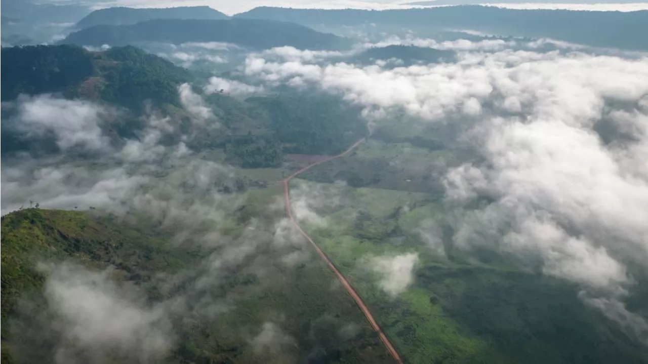 Brasil y Colombia frenan la deforestación en contra de la tendencia mundial