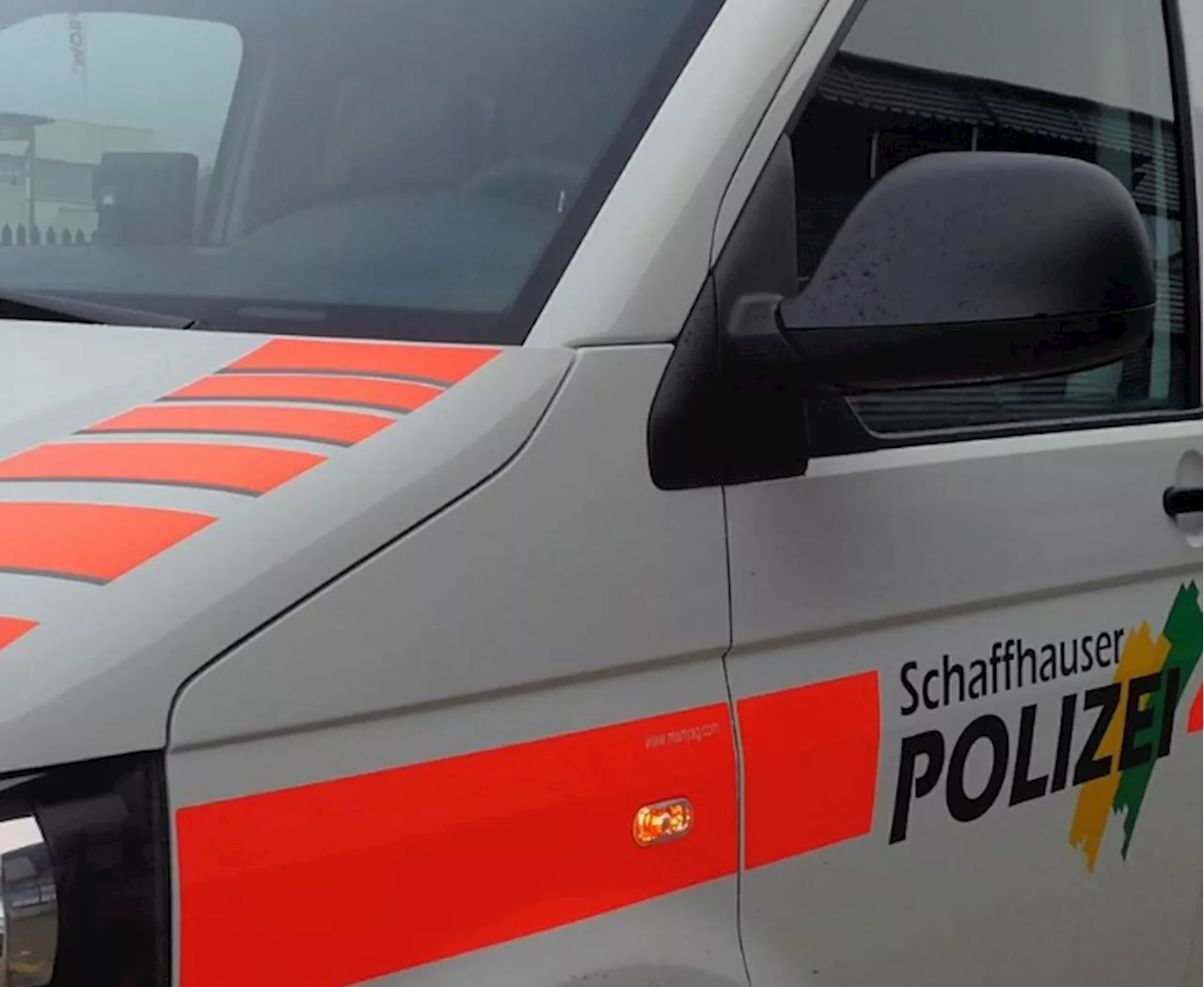 Sexuelle Belästigung von Kindern und Jugendlichen in Neuhausen am Rheinfall