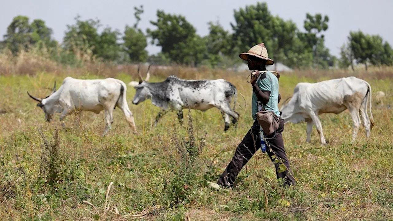 Gunmen Kill 21 Villagers in Nigeria's Kogi State