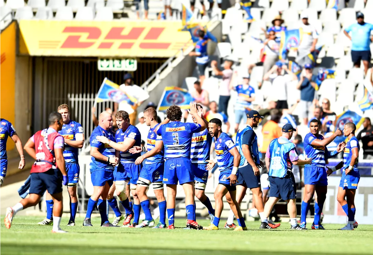 Dobson: Stormers have nothing to lose