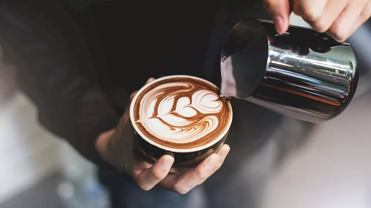 Barista Kaffee: Wie die Siebträgermaschine Sie zum Profi macht