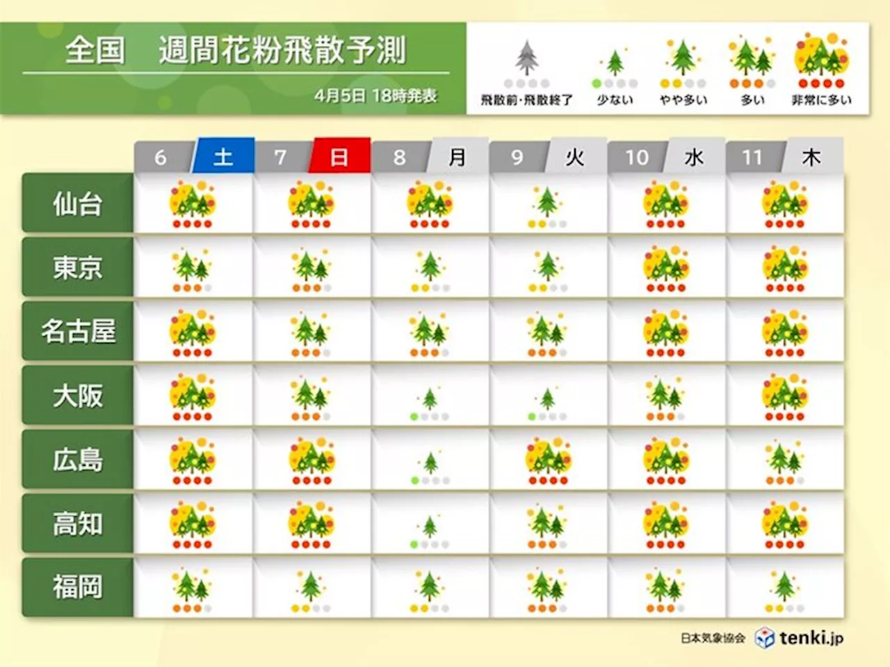 花粉情報 今週末は大量飛散 来週の雨上がりも注意 お花見は花粉対策を万全に(気象予報士 青山 亜紀子 2024年04月06日)