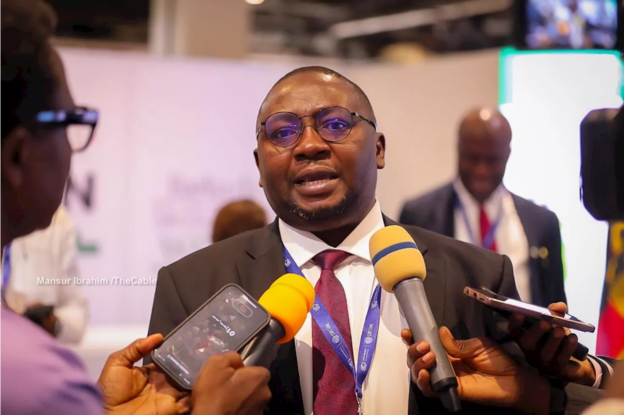 'Only 1.5m out of 12m customers affected' -- Adelabu defends electricity tariff hike