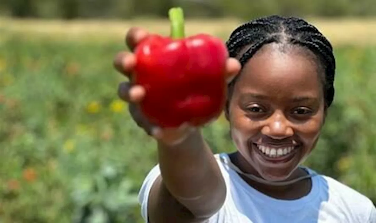 High demand calls for supply from young female Limpopo farmer