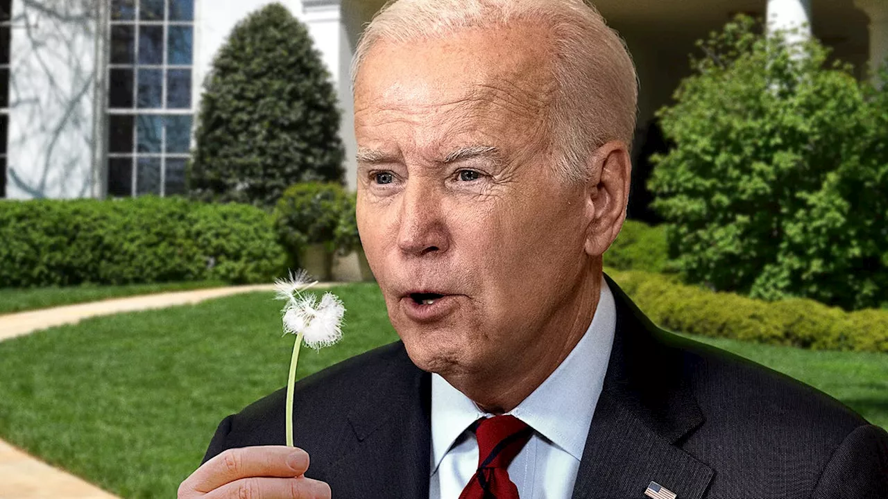 Joe Biden Officially Wishes Student Loans Away By Blowing On Dandelion