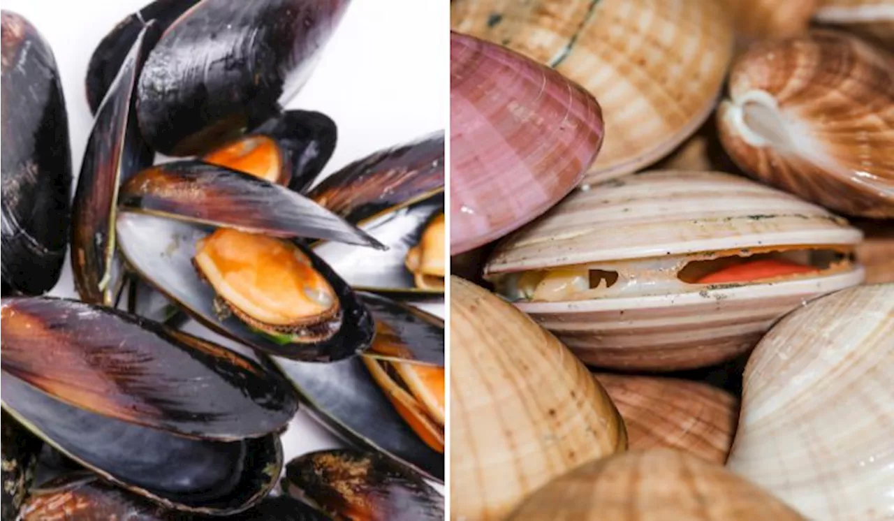 Eight Cases of Food Poisoning Linked to Mussels Reported in Port Dickson