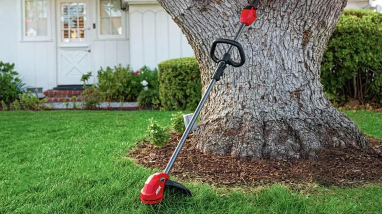 $139 for two essential lawn tools - Skil trimmer and leaf blower combo 30% off at Amazon