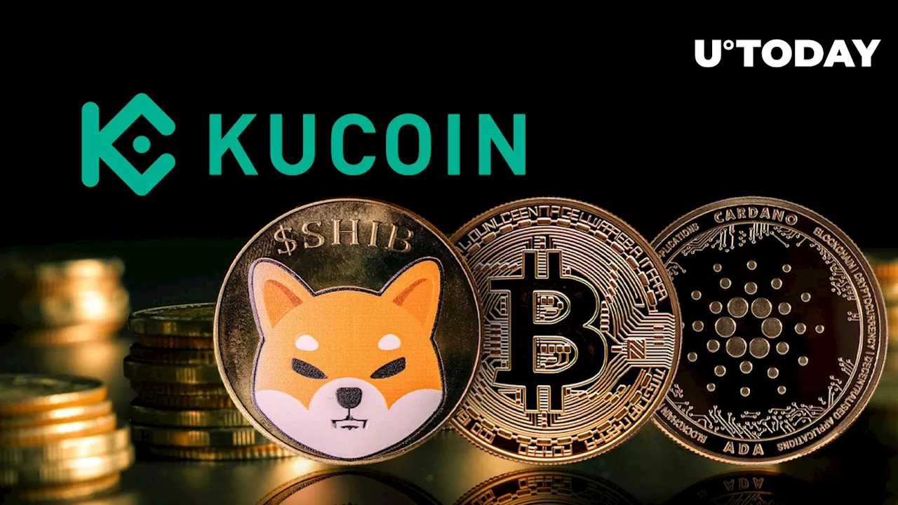 SHIB, BTC, ADA: KuCoin Issues Critical Alert to Crypto Users in Wake of This Development