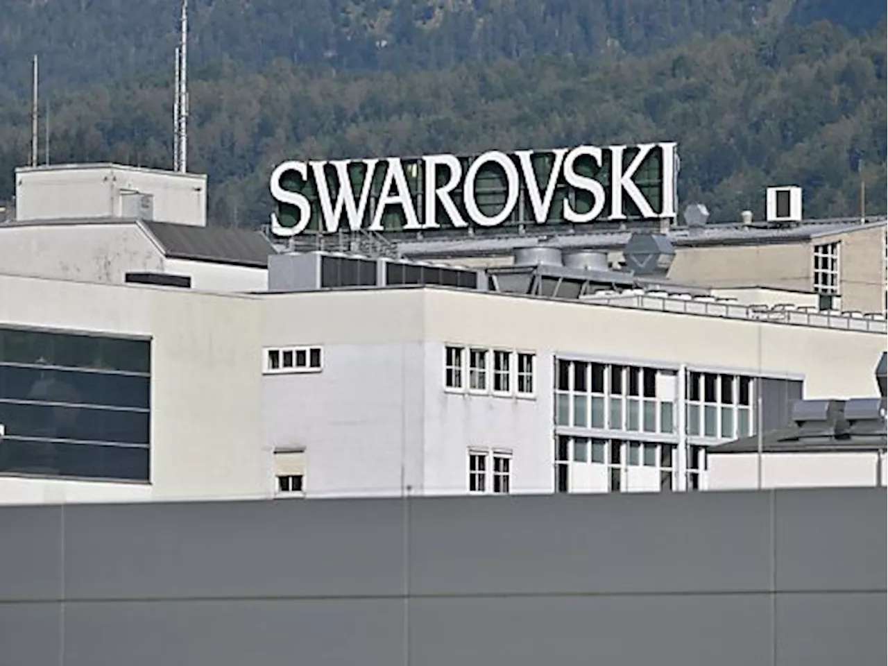 Swarovski-'Oppositionelle' betonen Reform-Rechtswidrigkeit