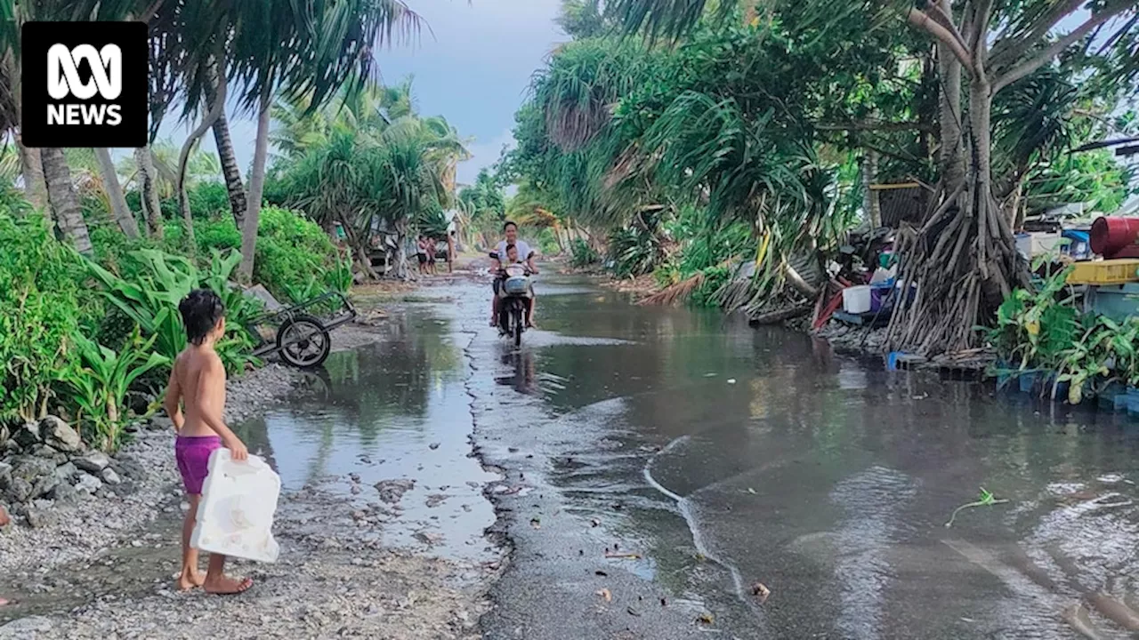 King tides cause new levels of devastation in Tuvalu, as nation weighs up Falepili Union treaty