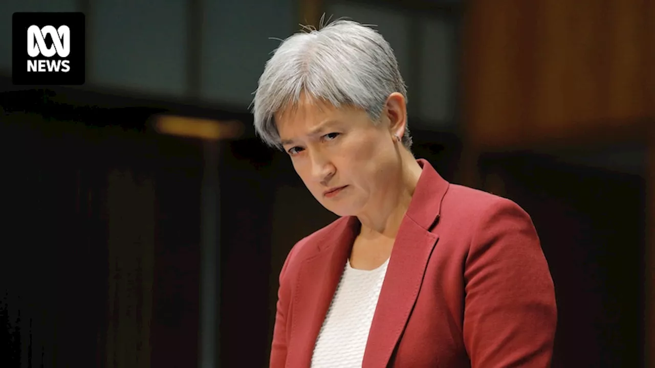 Live moment: Foreign minister Penny Wong addresses Israel's dismissal of two officers after investigation into deadly air strike