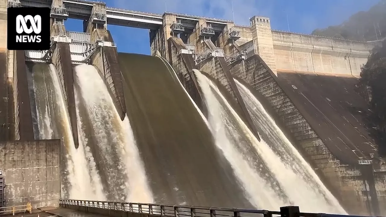 Sydney's Warragamba Dam spills after deluge dumps more than 100mm of rain. What happens now?