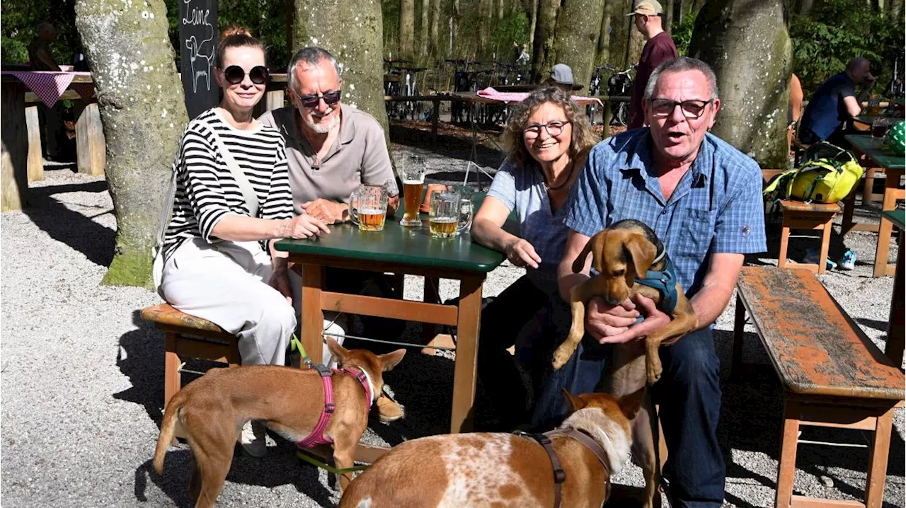 Sommer in der Stadt: So genießt Augsburg den Frühling