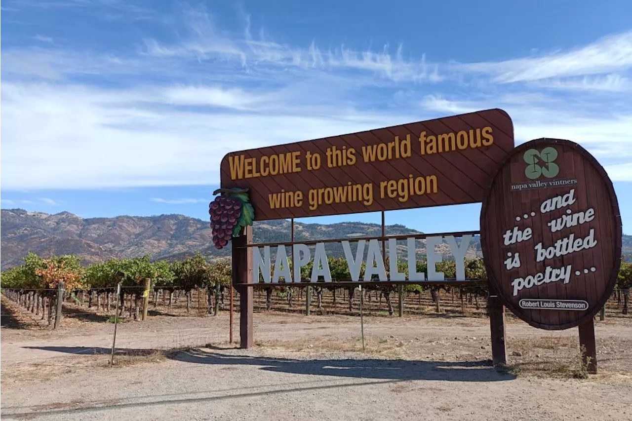 Experience Francis Ford Coppola’s vineyard and wine-tasting in Napa Valley