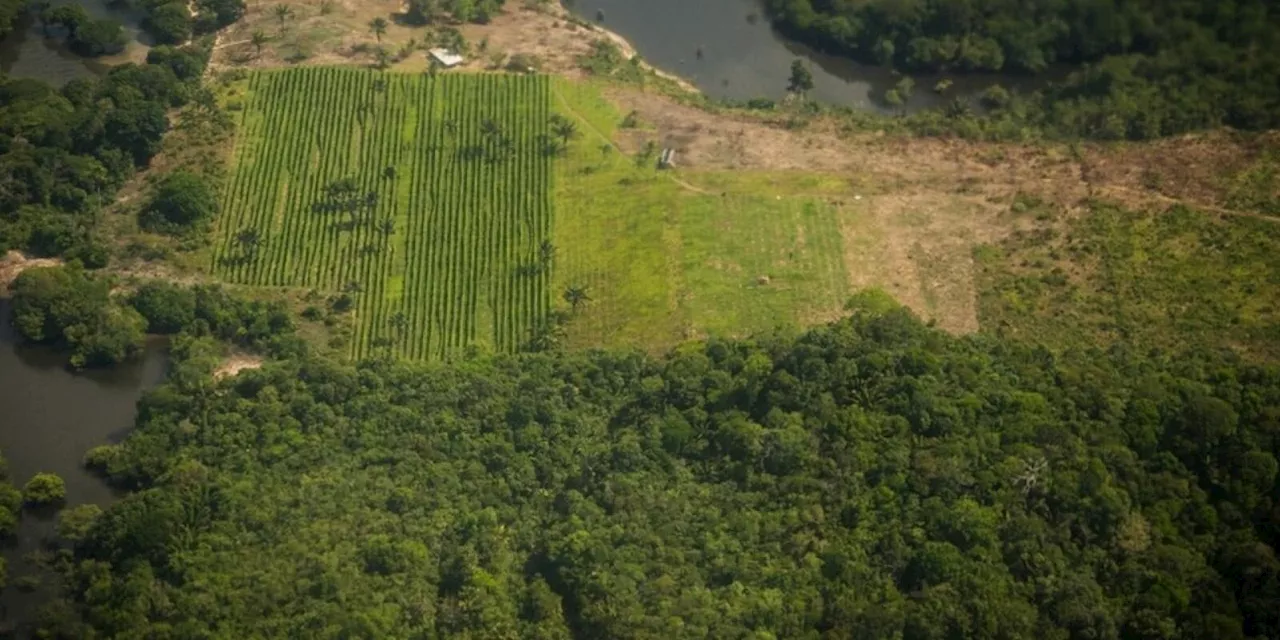 GoAmazon: A Natural Laboratory for Atmospheric Science