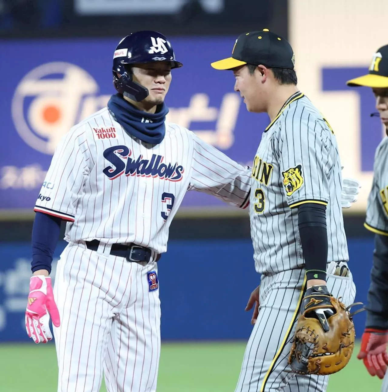 【野球】阪神・大山とヤクルト・西川の清々しいワンシーン 一塁であわや大惨事の激突も 互いが互いを気遣う 神宮が拍手に包まれる