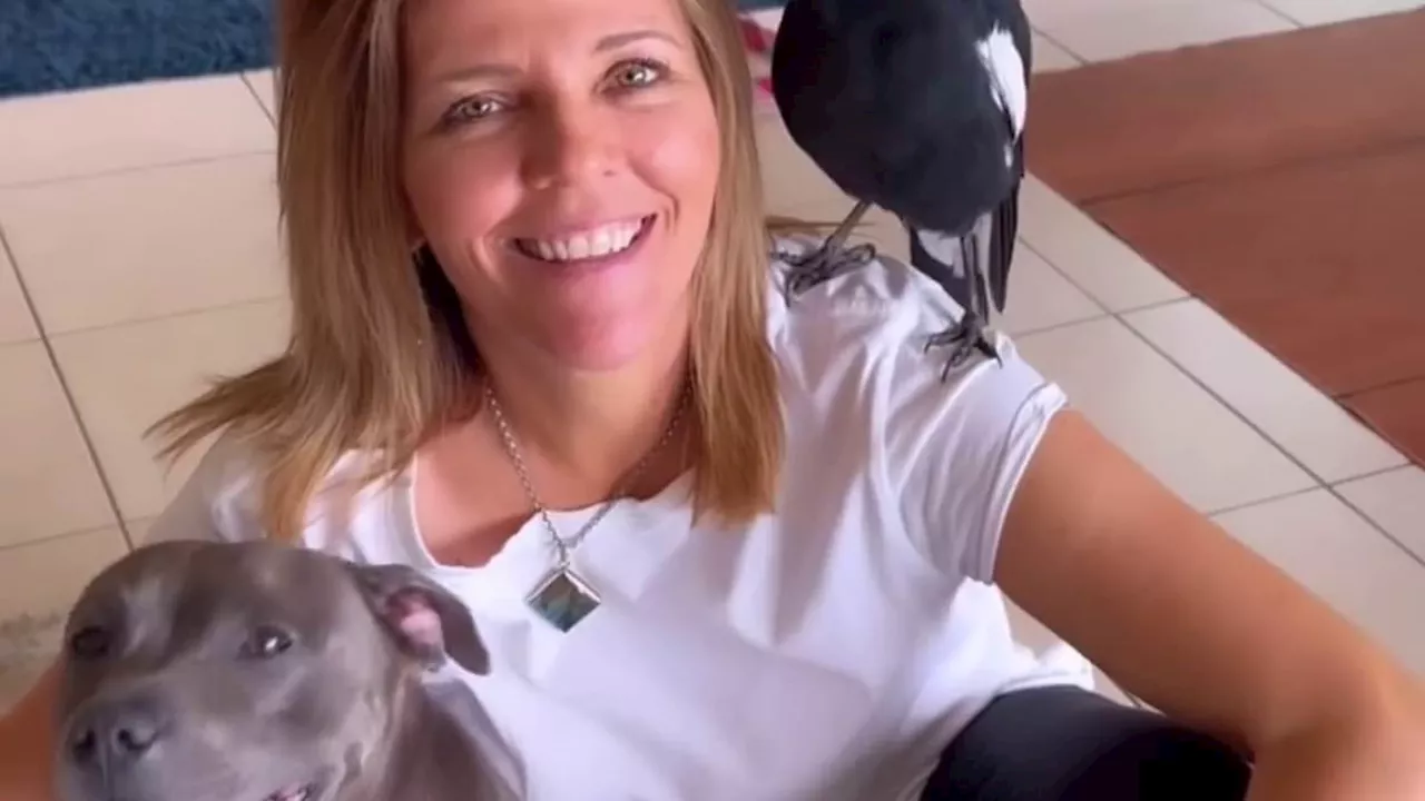 Carers of Famous Magpie Molly Hope for Reunion