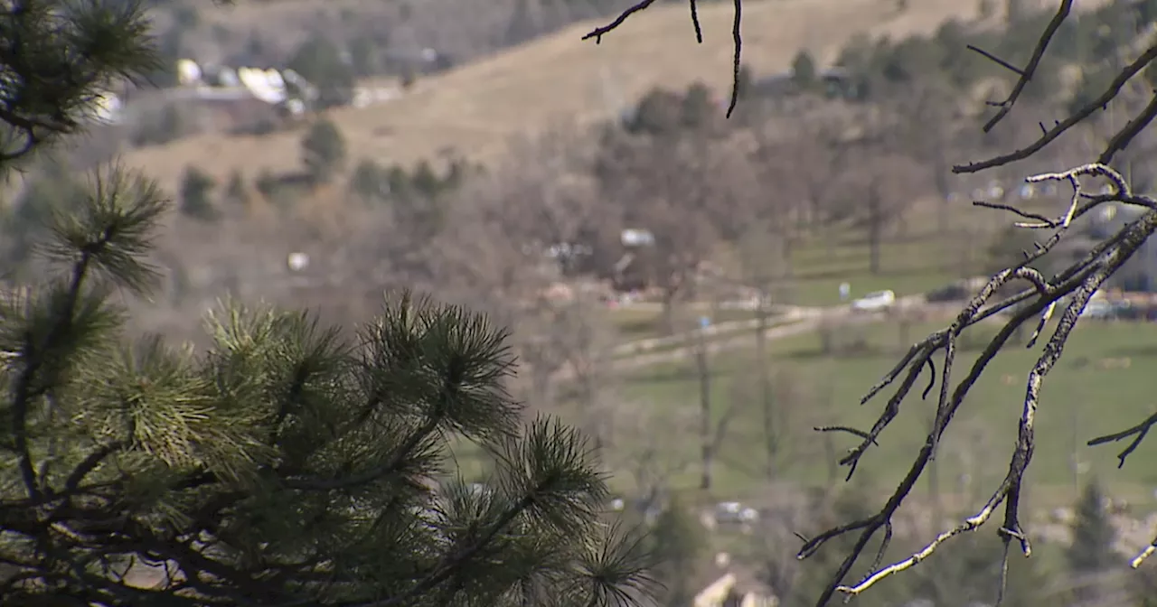 Xcel Energy warns it may purposely shut off power in ‘certain limited areas’ due to dangerous winds
