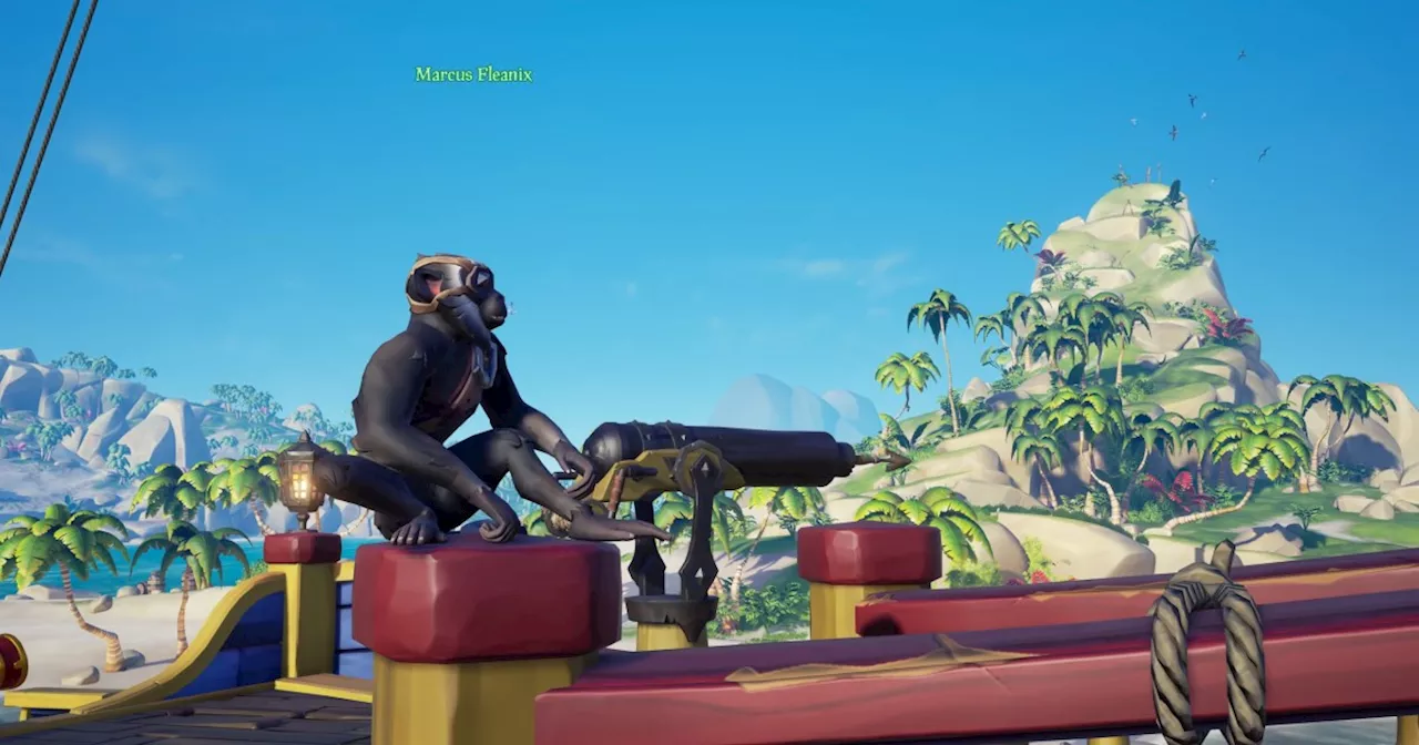 How to Get a Pet in Sea of Thieves