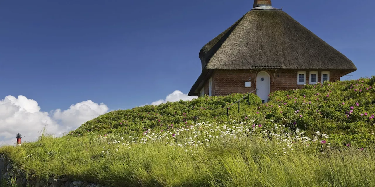 „Ohne Ankündigung!' Ferien-Wohnungen auf Sylt per „Sofortvollzug“ stillgelegt