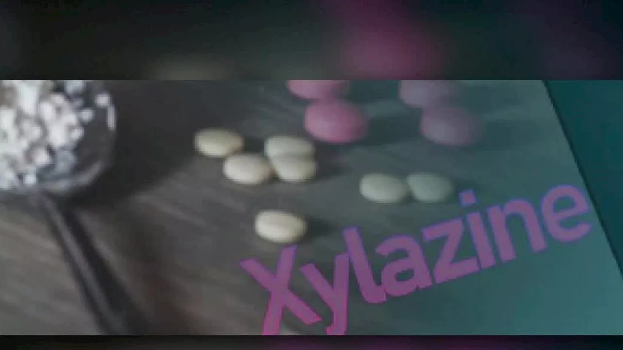 First-known Xylazine-related overdose death reported in Whatcom County