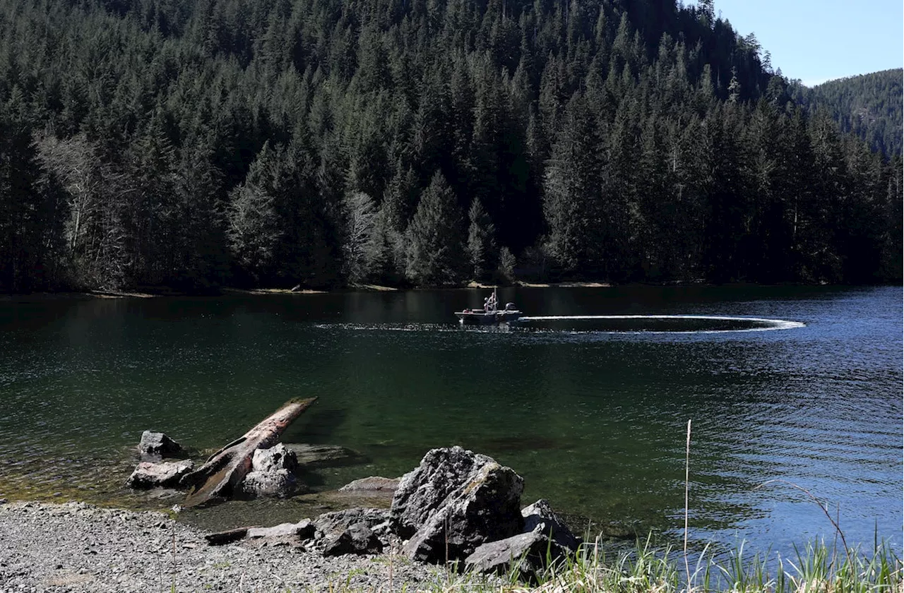 Western Canada: Rescuers of whale calf trapped in Vancouver Island lagoon look for family help