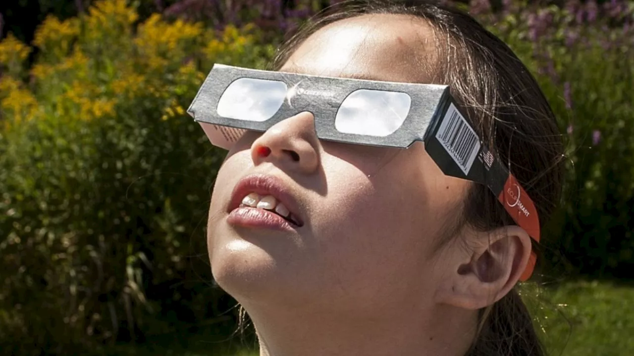 Eclipse Solar: así puedes obtener GRATIS unos lentes para ver el eclipse en Sinaloa