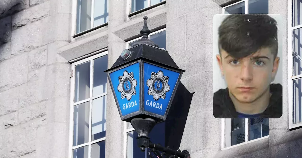 Gardai renew appeal for missing Dublin teen last seen over one month ago